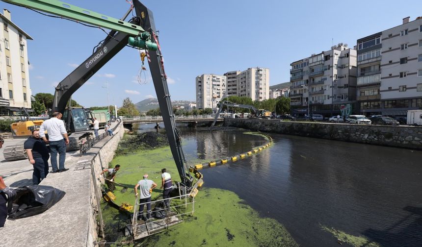 Bursa'da derelerde alarm veren görüntü! Ekipler hemen harekete geçti