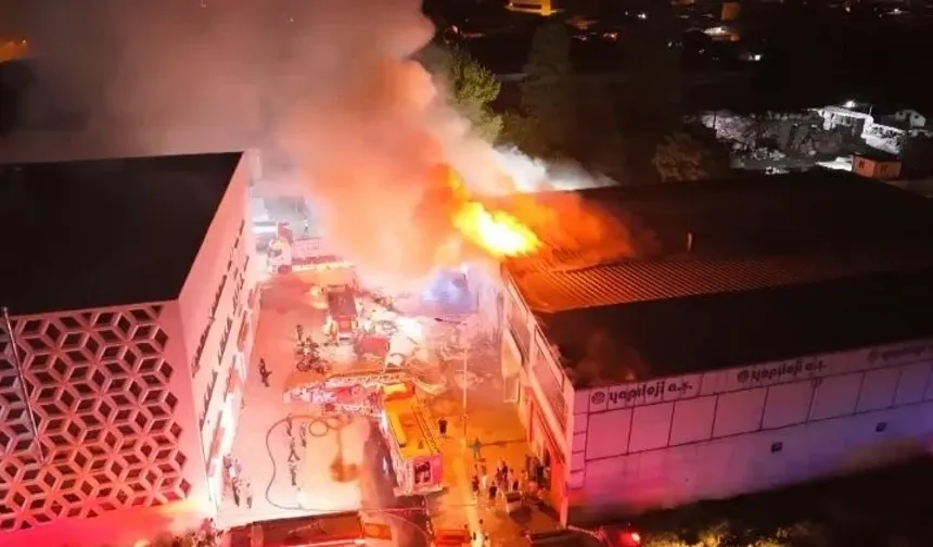 Bursa’da gece yarısı korkutan yangın! Yumurta işletmesini alevler sardı