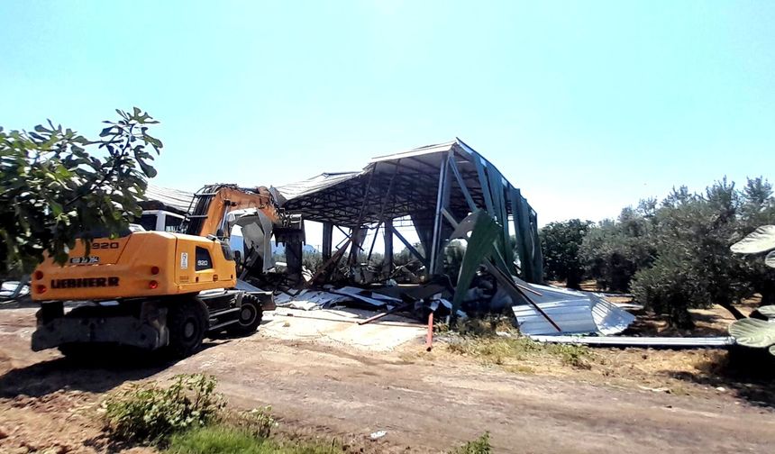 Bursa’da zeytinliğe kaçak depo yaptılar! 524 metrekarelik yapı yıkıldı