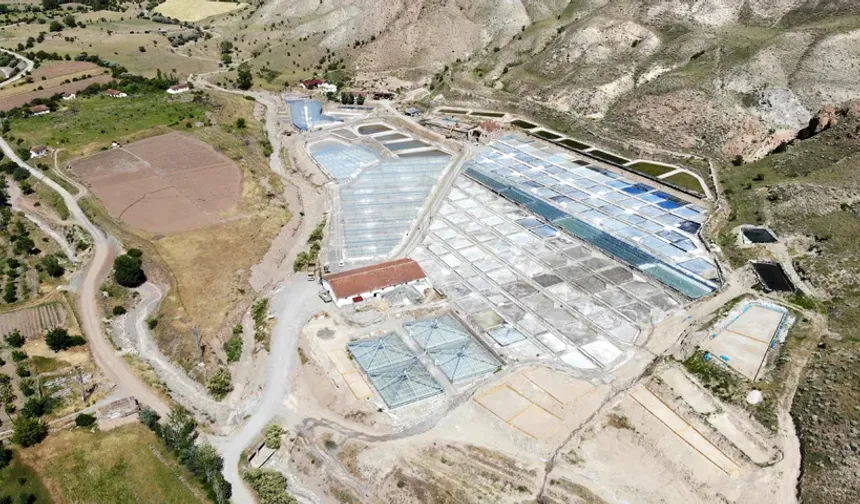 Bursa’ya geliyor! 3 bin yıllık yöntemle üretilen tuzun şaşırtan yolculuğu