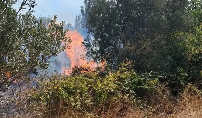 Bursa’da otlar bir anda alev aldı! İki ilçede ekipler seferber oldu