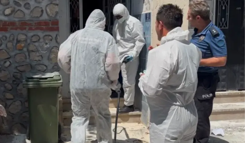 Bursa’da korkutan pire istilası! 3 katlı binadan 1’i ölü 2 köpek ve 16 hayvan çıkarıldı
