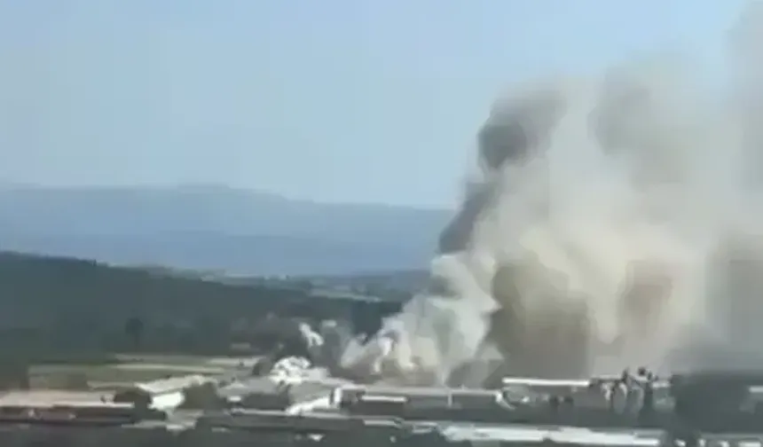 Bursa’da tavuk çiftliği alevlere teslim oldu!
