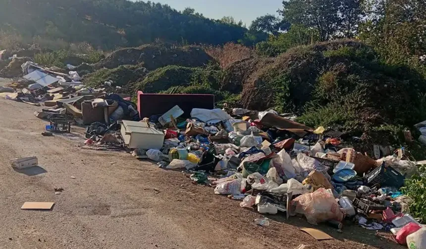 Bursa Gemlik’te hayvan pazarı için sert eleştiri!