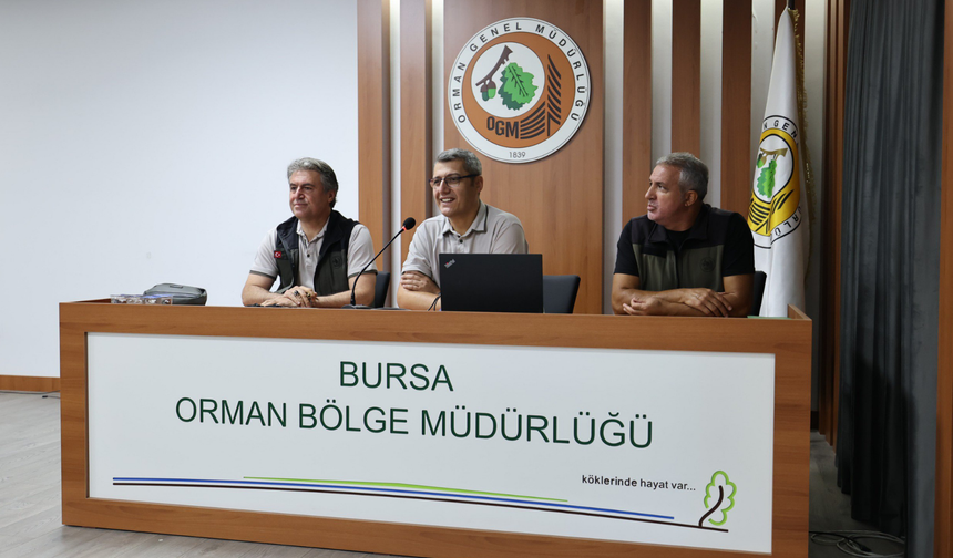Ormanların geleceği Bursa’da masaya yatırıldı