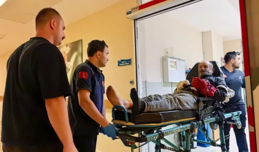 Bursa'da feci iş kazası! Tomrukla zincir arasına sıkışan işçinin 6 parmağı koptu