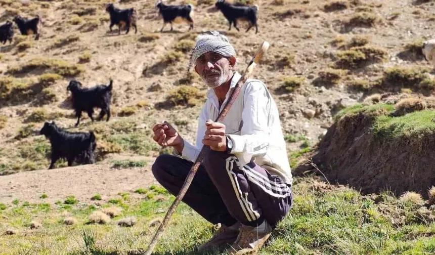 Bursa’da geçinemedi, köyüne döndü! 5 yıl sonra geldiği nokta şaşırttı