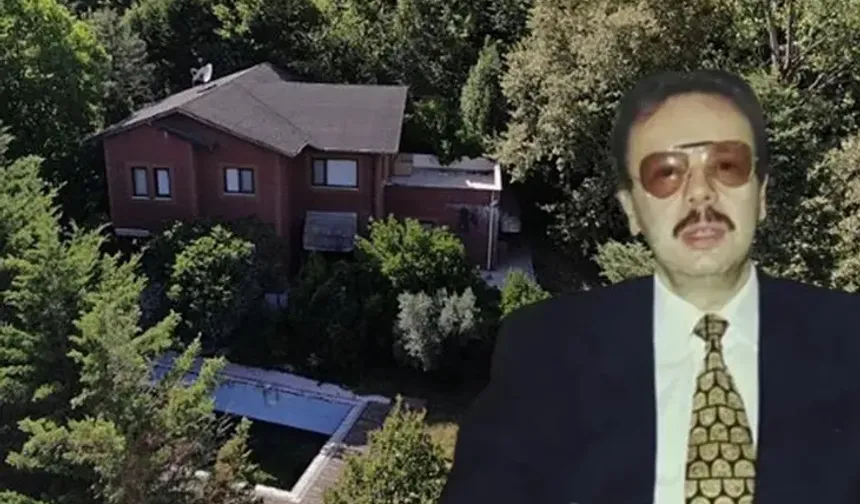 Eski Bakan Denizolgun’un doktoru tutuklandı! İfadesindeki çelişkiler ortaya çıktı