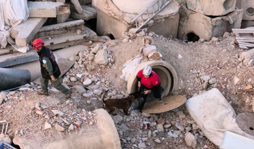 Bursa'daki enkaz alanı K9 eğitim merkezine dönüştü! Türkiye'nin dört yanından geliyorlar