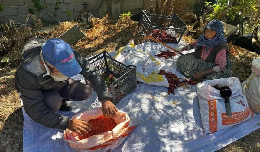 Bursa’da 90 yaşındaki annenin sözleri duygulandırdı: “Emeğim helal olsun”