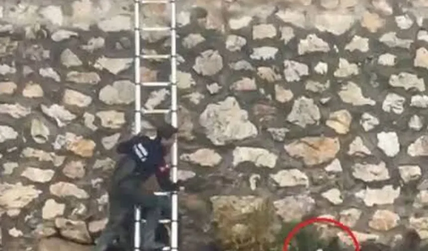 Bursa'da minik kedi için yağmur altında kurtarma operasyonu